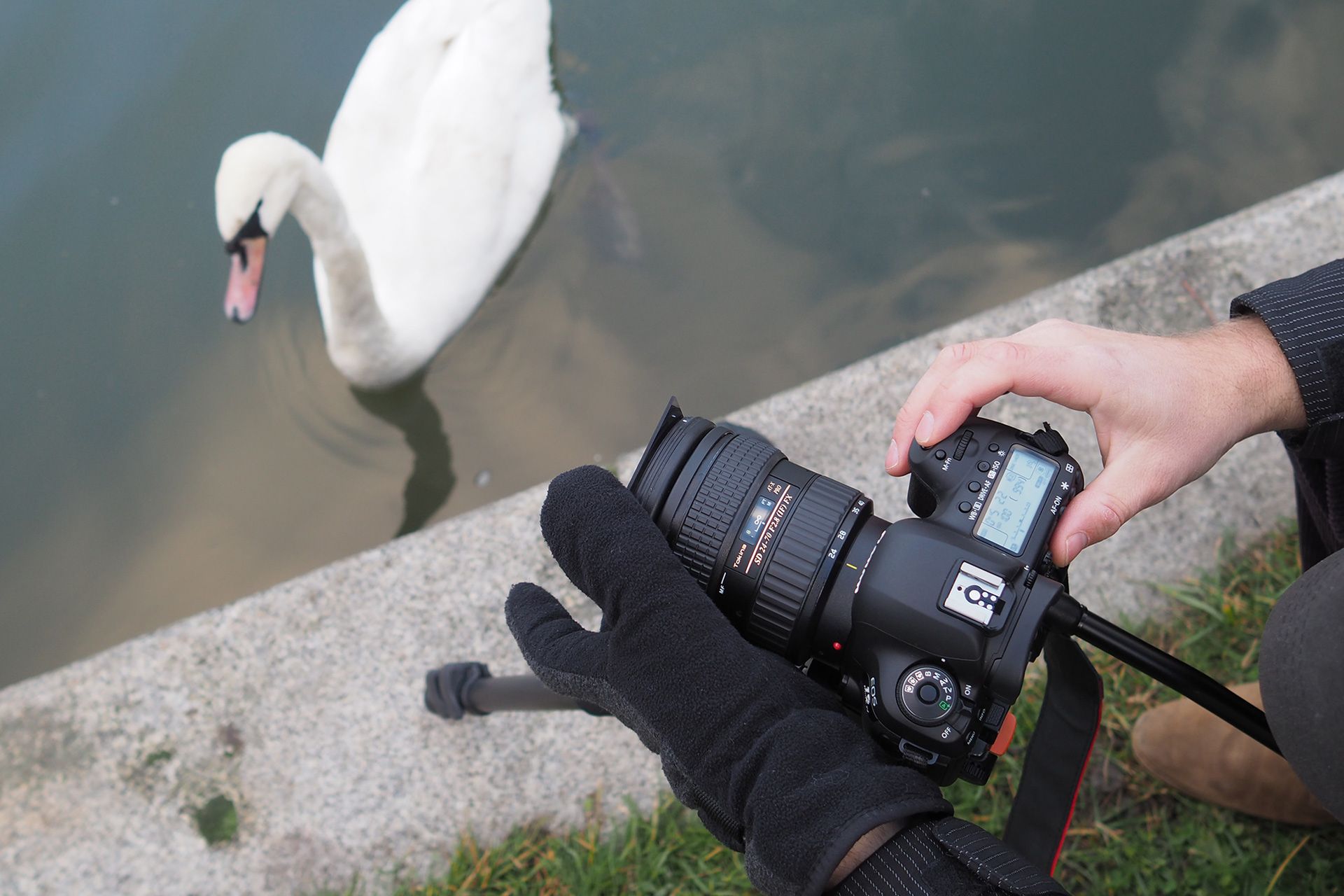 10 podstawowych rad, jak zacząć fotografować i zarabiać na fotografii stockowej 2