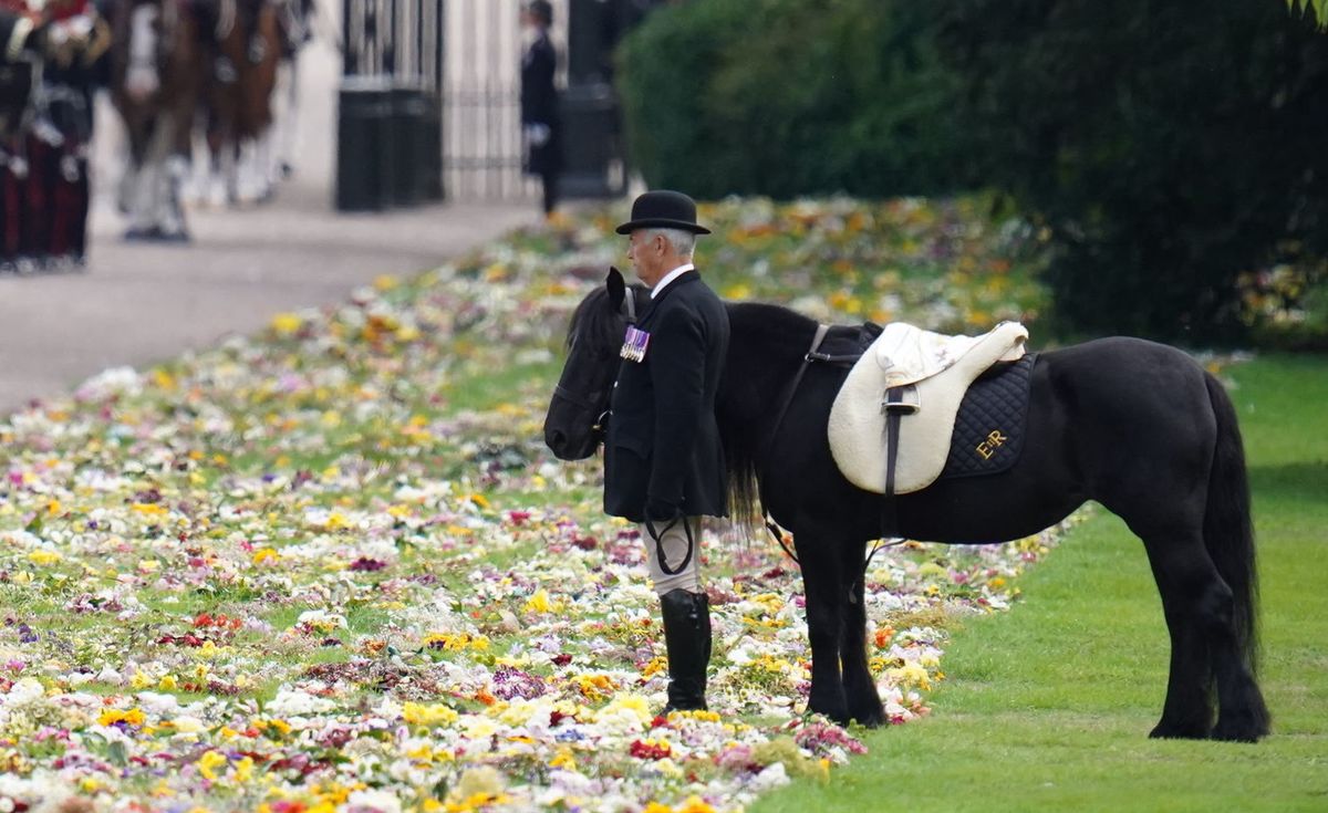 Emma czekała na królową w Windsorze