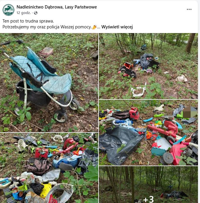 Znaleźli martwego psa.