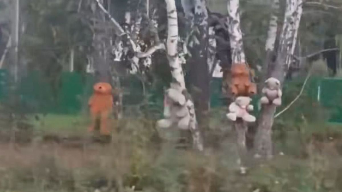 Pluszaki wiszą na drzewach. Nagranie z Rosji