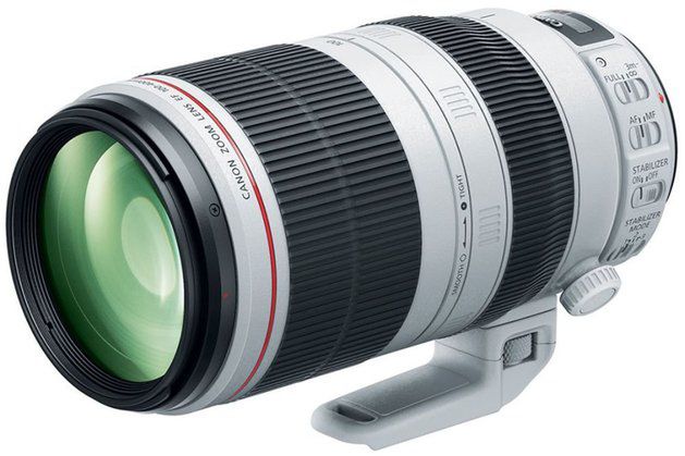 Canon EF 100-400 mm f/4.5-5.6L