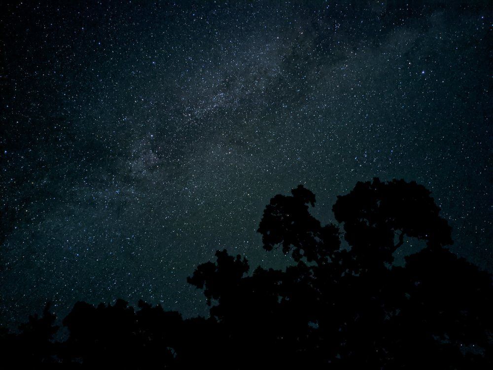 Zdjęcie zrobione ponoć Pixelem 4