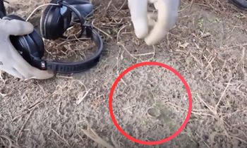 Trafili na nie w szczerym polu. "To jest niecodzienne znalezisko"