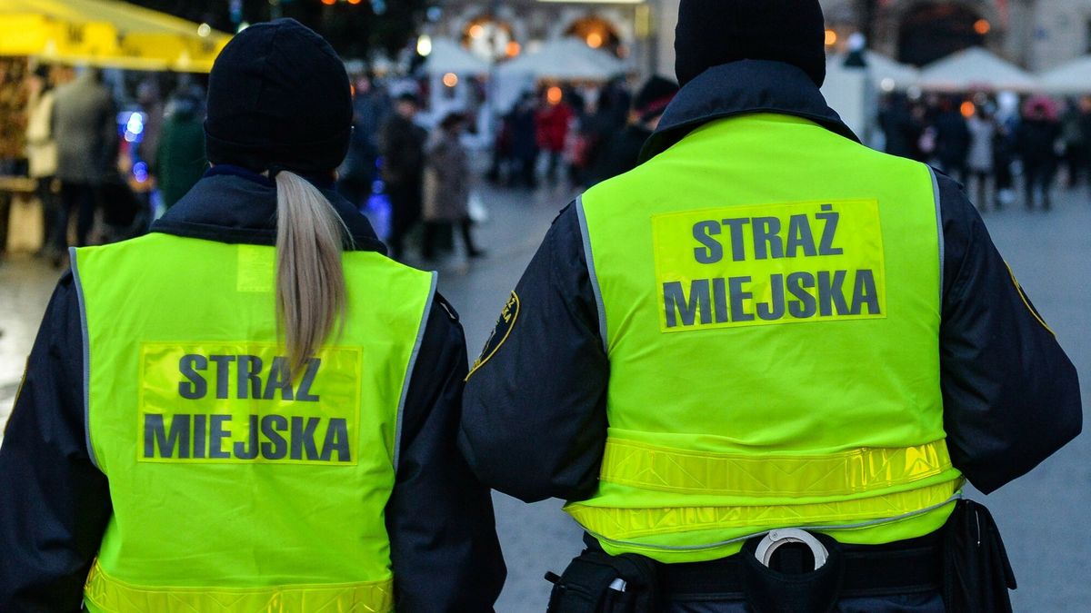 Straż miejska może ukarać użytkowników pojazdów innych niż mechaniczne