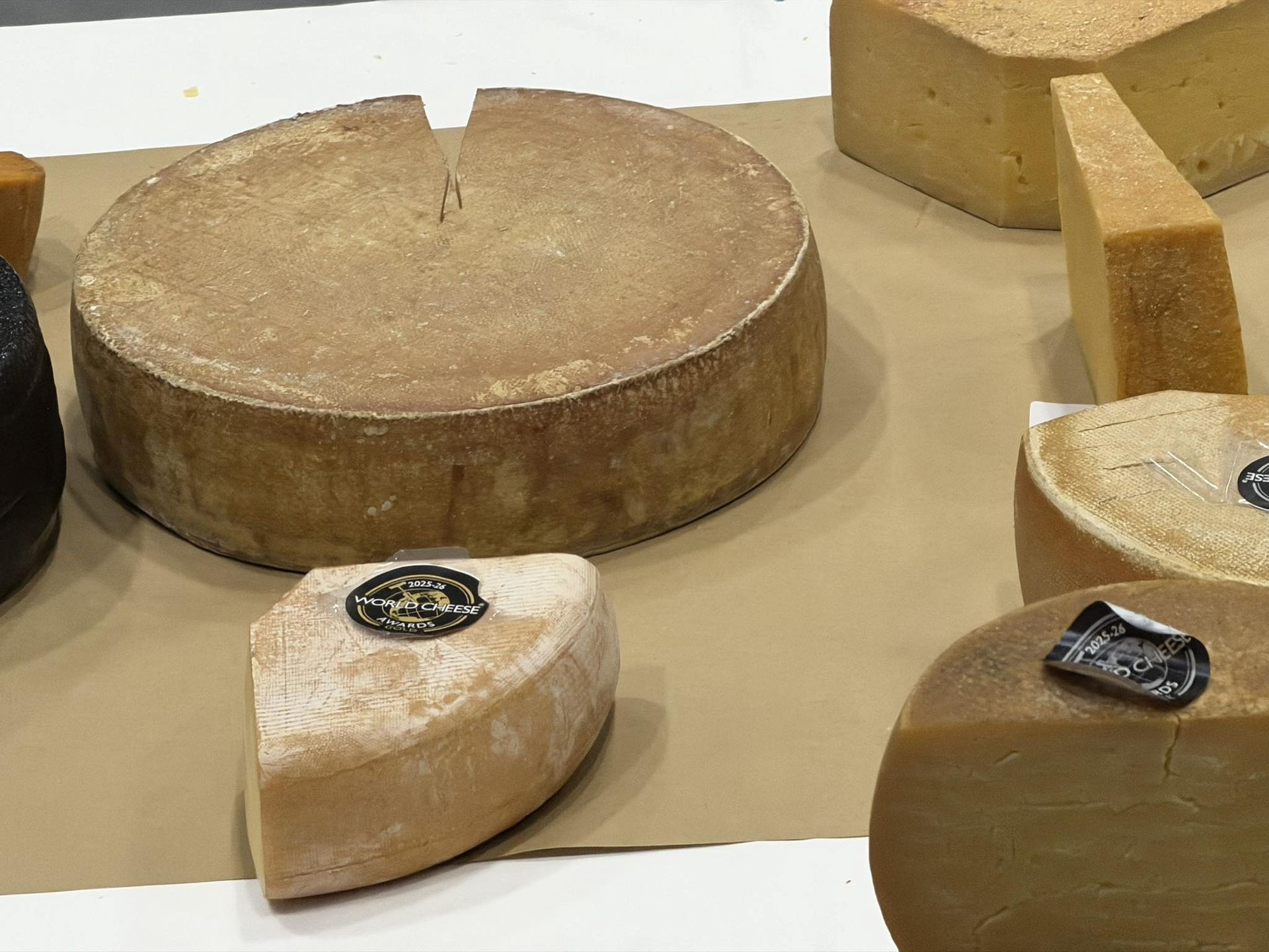 Ser Siwy Kazik z Golęczewa