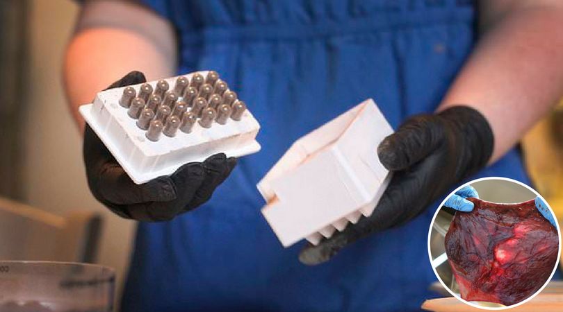 Associated Press Photo/dailymail.co.uk