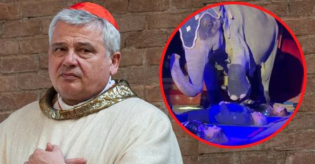 Kardynał Krajewski bohaterem w cyrku. Jest nagranie