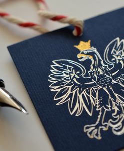 Czy II tura wyborów prezydenckich 2025 może zostać unieważniona? Co wtedy?