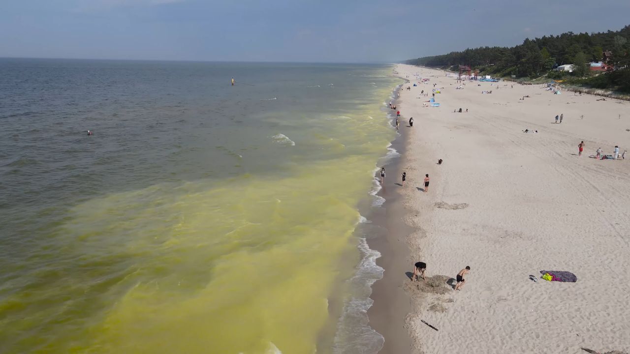 Dziwny kolor wody w Bałtyku. Turyści boją się, że to sinice