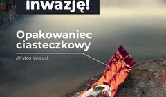 Karkonoski Park Narodowy zachęca do sprzątania parku akcją „Czyste Karkonosze”