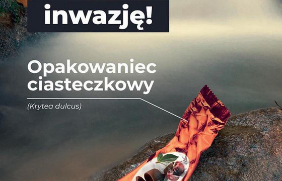 Karkonoski Park Narodowy zachęca do sprzątania parku akcją „Czyste Karkonosze”
