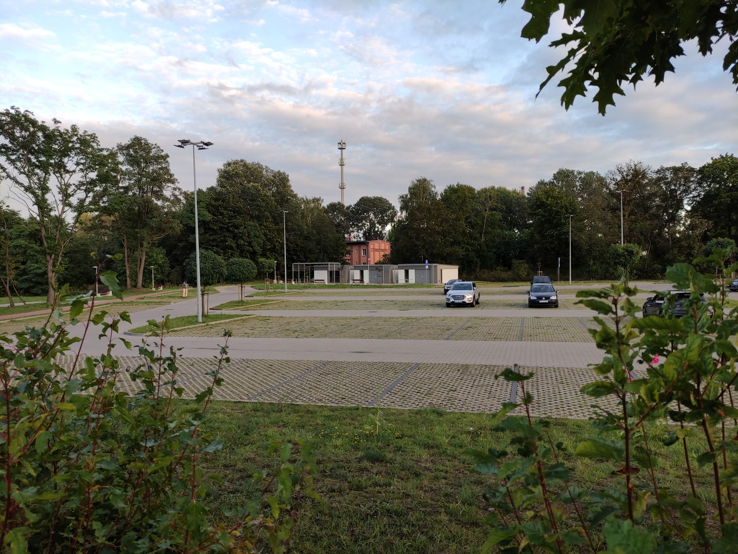 Obraz