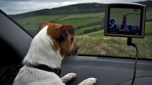 Nawigacja Orange dla Firm za darmo nawet przez rok 1