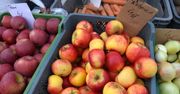 Krajowe zbiory owoców wzrosły, a to oznacza tylko jedno dla sadowników
