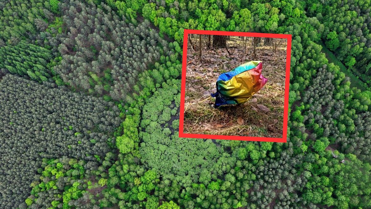 Balony wracają do lasu. Leśnicy apelują: natura to nie śmietnik