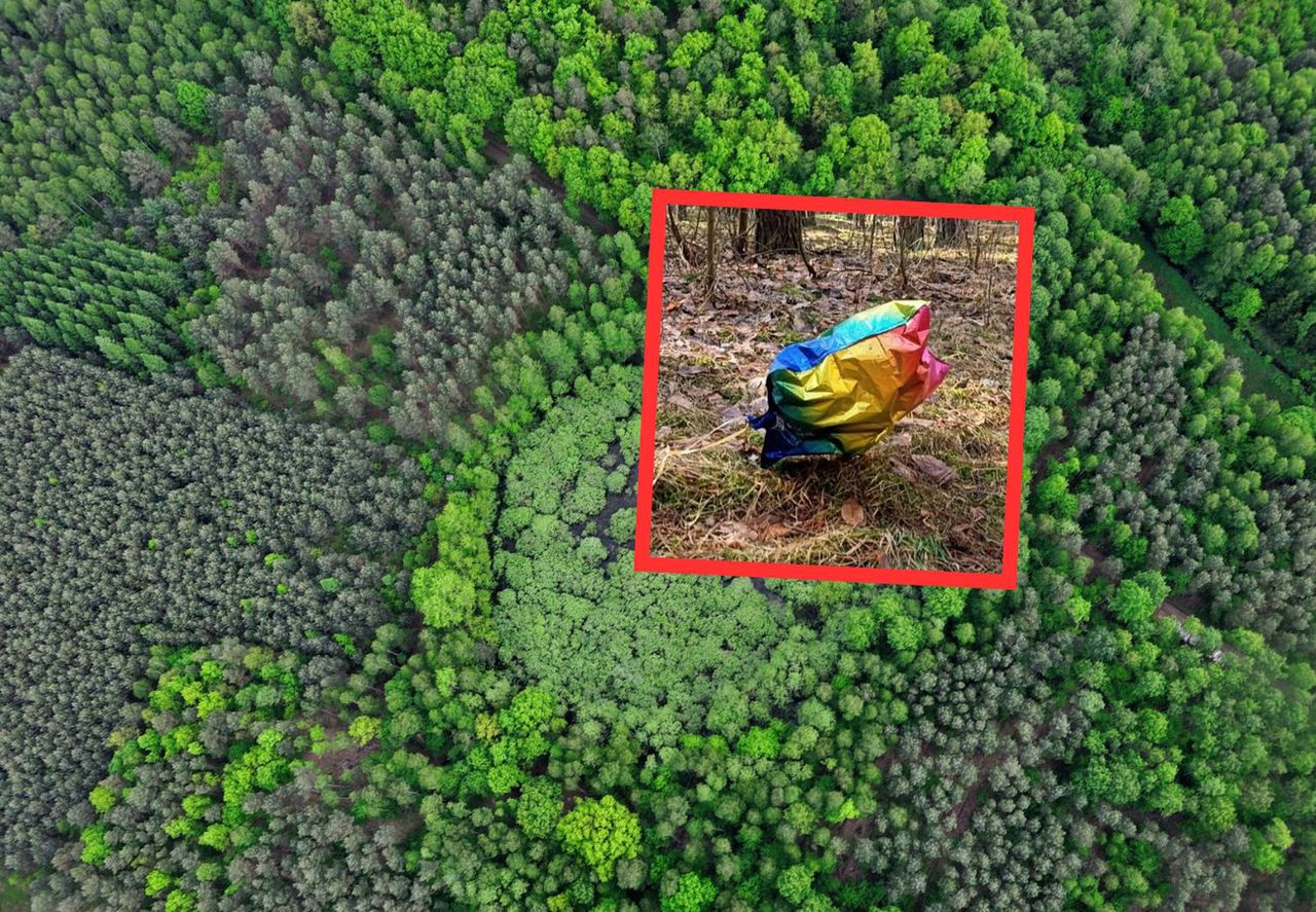 Coś kolorowego w lesie. Leśnicy się wściekli. "To nie miejsce"