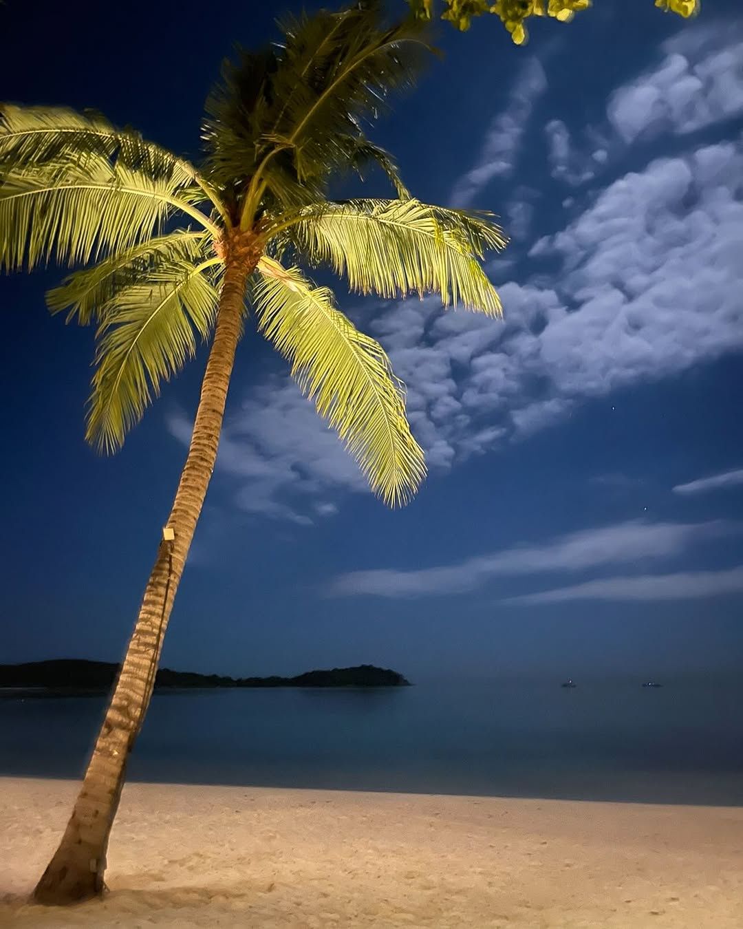 Azjatycki urlop Edyty Górniak