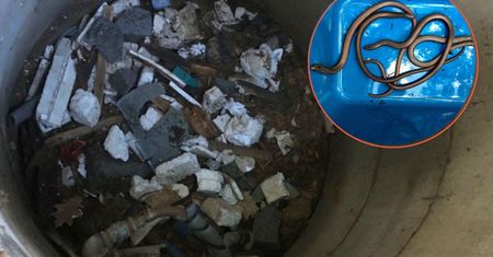 Falenica. Hydraulik zszedł do studni. Po chwili uciekał z krzykiem