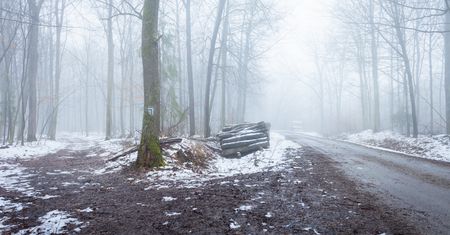 Polska pod wpływem zgniłego wyżu. Zimno, mokro i pochmurnie