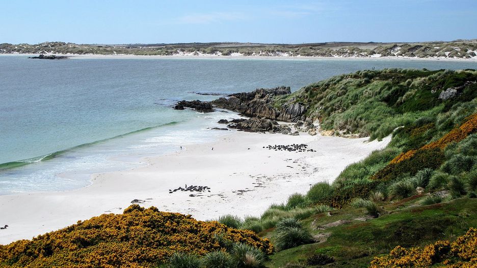 O tę malowniczą okolicę Argentyńczycy toczą od dwóch wieków spór z Brytyjczykami. Chiny uznały w niedzielę prawa Argentyny do archipelagu (Wikimedia Commons)