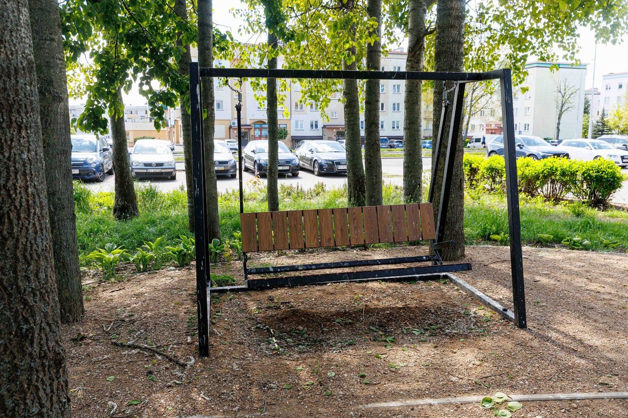 Białystok. Park lawendowy na TBS-ach w "krzyżowym ogniu” ptaków. Miasto zapowiada porządki