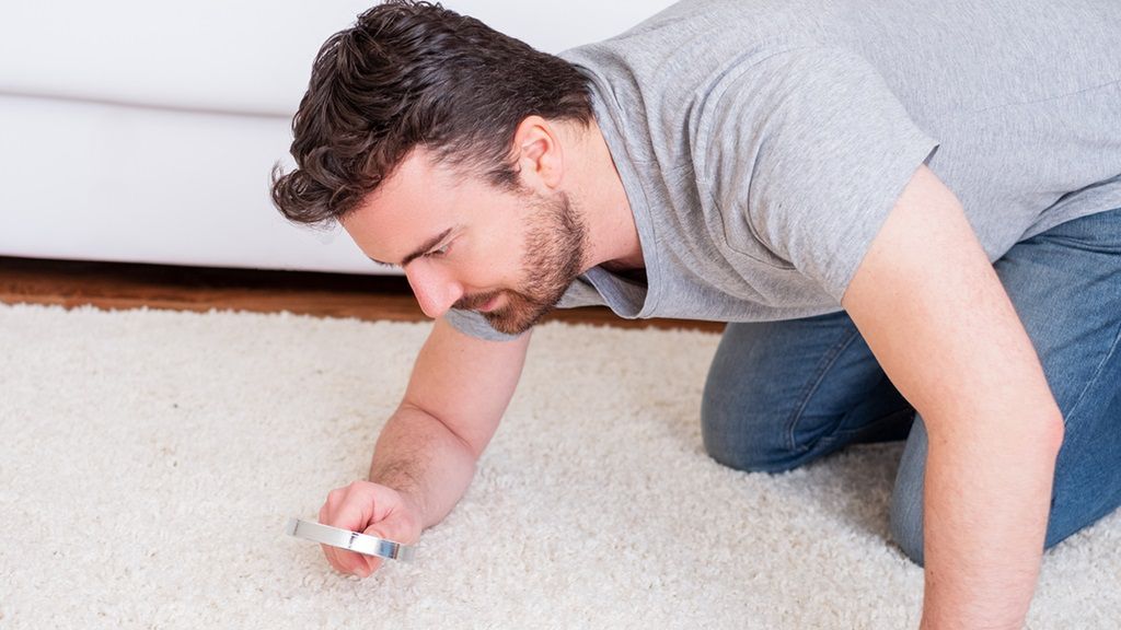 Jak pozbyć się roztoczy w domu?