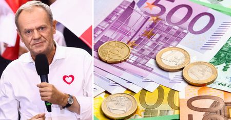 Euro w Polsce. Zdecydowany sygnał dla nowego rządu