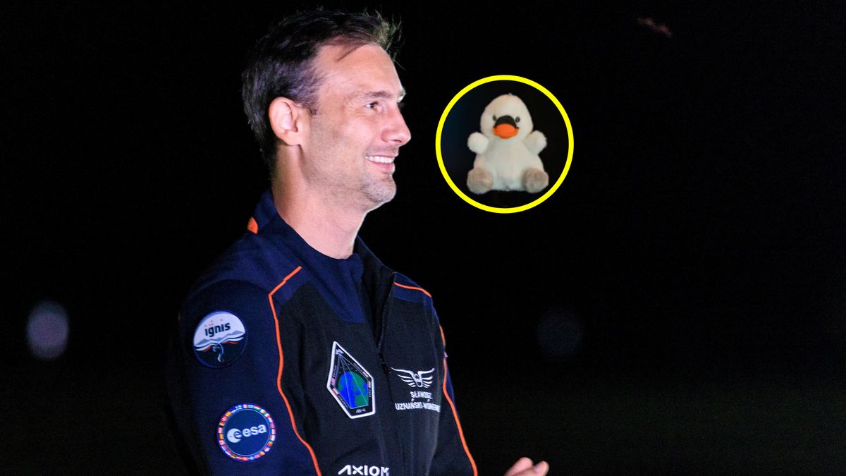 Joy w kapsule Dragon. Jakie ma zadanie?