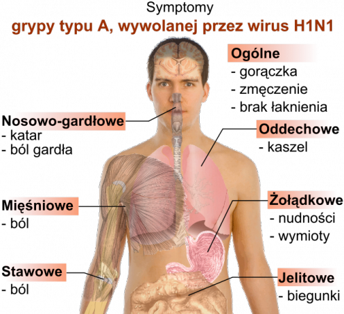 Garnitur ochroni Cię przed grypą A/H1N1 2