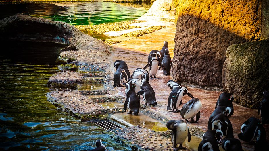 Zoo Wrocław