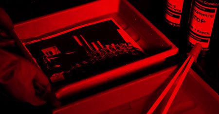 Jack White z dawnego The White Stripes otwiera laboratorium i studio fotograficzne