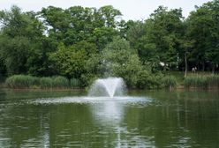 Kamieniec Ząbkowicki. Pijana matka i babcia opiekowały się dziećmi na wodą. Sprawa trafi do sądu rodzinnego