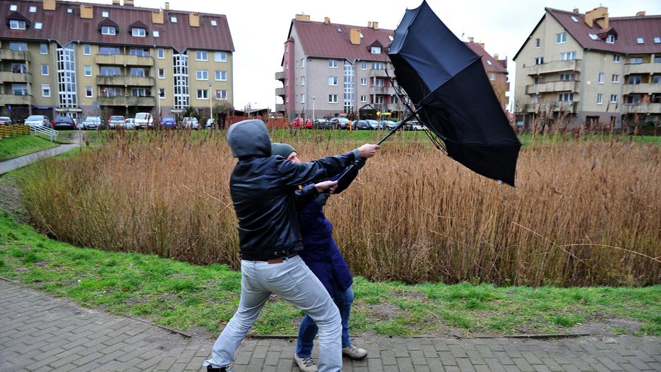 Pogoda. Alerty przed silnym wiatrem