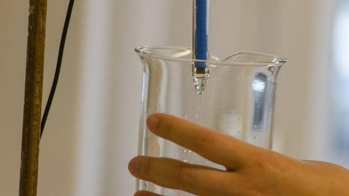 in vitro