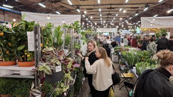 Przemyśl: Wielkie Targi Roślin - jesienna edycja już w październiku