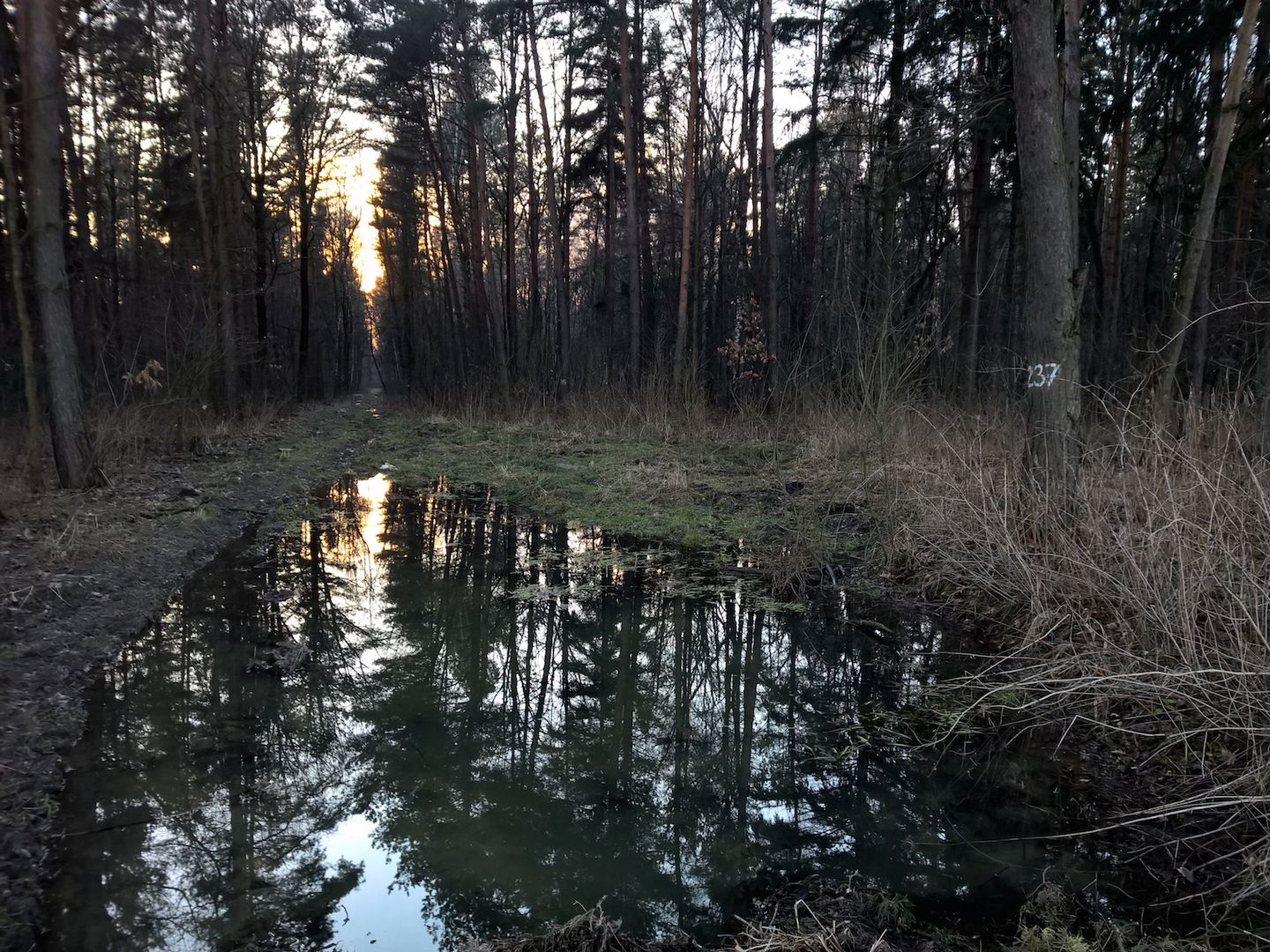 Lumia 930 - test fotograficzny 33