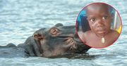 Hipopotam połknął 2-latka. Dzięki szybkiej interwencji, wypluł go