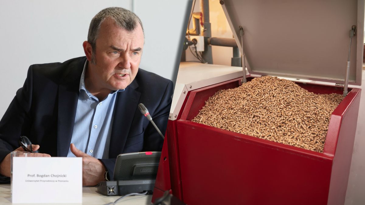 Prof. Bogdan Chojnicki z Uniwersytetu Przyrodniczego w Poznaniu