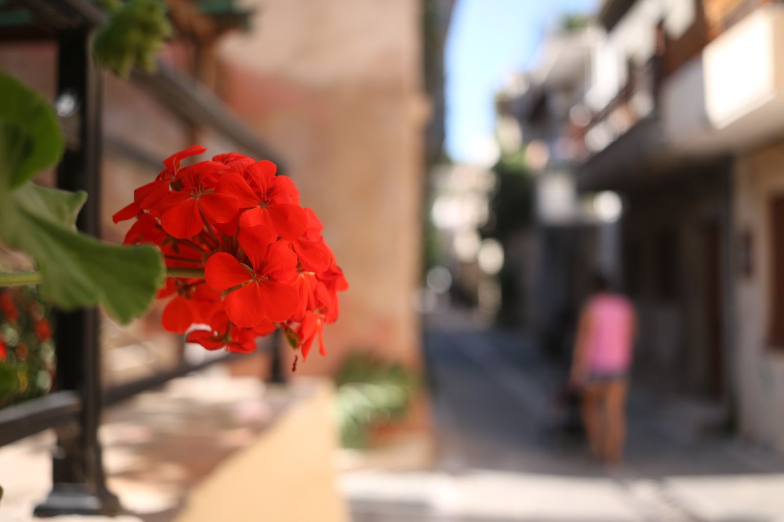 Canon EF-S 24 mm f/2,8 STM  - słodki naleśnik [test] 11