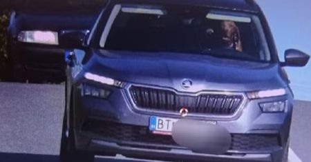 Pies za kierownicą samochodu. Niecodzienne zdjęcie z fotoradaru na Słowacji