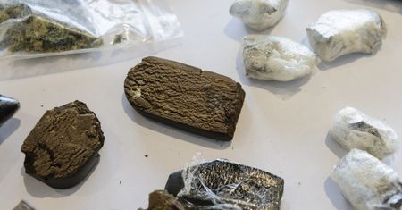 Włochy. Poszedł na grzyby, znalazł 2 kilogramy haszyszu