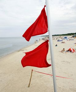 Skandal na plaży w Sopocie. Jest nagranie