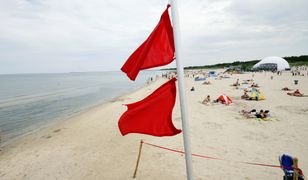 Skandal na plaży w Sopocie. Jest nagranie