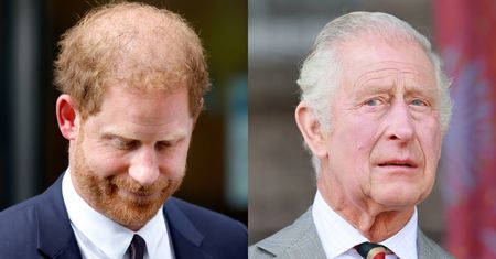 Plotkowano, że król Karol III nie jest biologicznym ojcem księcia Harry'ego. Eksroyals wyznał całą prawdę PRZED SĄDEM