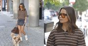 Julia Wieniawa paraduje przed studiem "Dzień Dobry TVN" z psem i torebką za 25 TYSIĘCY złotych (ZDJĘCIA)