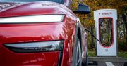 Tesla z ogromnym spadkiem w kraju elektryków. Tego nikt się nie spodziewał