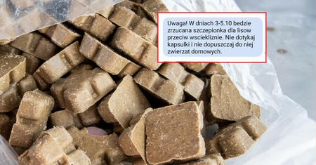 Alert RCB na Lubelszczyźnie. Uwaga na zwierzęta domowe i dzieci