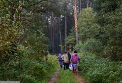 Polski biznesmen chce pomóc migrantom. Oferuje mieszkanie oraz pracę