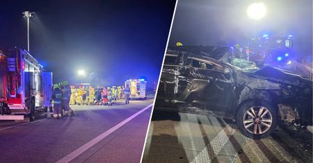 Była 21:13. Samochód zderzył się z łosiem na A2