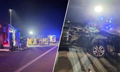 Była 21:13. Samochód zderzył się z łosiem na A2